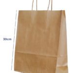 Sacola Papel Kraft M 23x30x10cm 50und Acesso® Monolúcido Embalagem Presente Bolsa Ecológica Alça Torcida