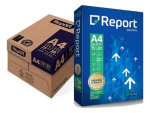 5.000 Folhas Papel Sulfite A4 210x297mm 75g Branco Alcalino