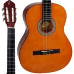 Violão Clássico Giannini N-14 Natural Tampo Sabina Verniz Brilhante Com Cordas De Nylon