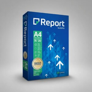 Papel Sulfite Report A4 500 Folhas de 75g Cor Branco