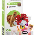 Bravecto Antipulgas Carrapatos Para Cães De 10 A 20kg Comprimido 500mg Msd + Enviamos Uma Surpresa Misteriosa