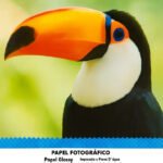 Papel Fotográfico Glossy A4 115g 50 Folhas Masterprint