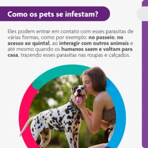 Bravecto Cães 20-40kg 1000mg 1 Comp. Mastigável Msd Azul