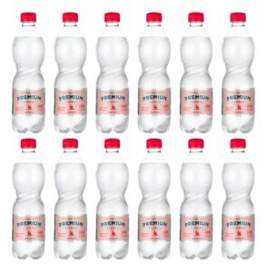 Água Mineral Premium Lindoia Com Gás 510ml Kit Com 12 Unidades