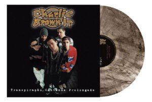 Vinil Charlie Brown Jr – Transpiração Contínua Prolongada 19 Versão Do Álbum Standard