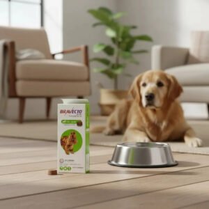 Bravecto Antipulgas E Carrapatos Cães 10 A 20kg Msd Verde