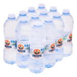 Água Mineral Natural Sem Gás Lindoya Verão Fardo C/12 510ml