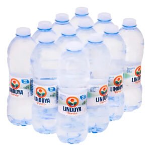 Água Mineral Natural Sem Gás Lindoya Verão Fardo C/12 510ml