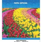 Papel Foto Glossy C/imã Especial 690g 5 Folhas Cor Branco