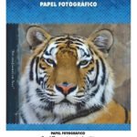 Papel Fotográfico Glossy Masterprint A4 230g Brilhante para Impressora, 50 Folhas