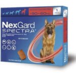 Antipulgas Nexgard Spectra Gg – 01 Tablete Cães 30,1 A 60kg – Azul