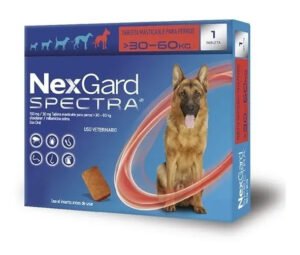 Antipulgas Nexgard Spectra Gg – 01 Tablete Cães 30,1 A 60kg – Azul