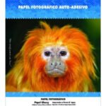 Papel Fotográfico Adesivo A4 Glossy 130g Masterprint 50 Folhas