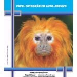 Folha Fotográfico Adesivo A4 130g 100 Folhas Masterprint Branco