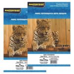 Papel Fotográfico Adesivo A4 Glossy 80g 100 Fls Masterprint Branco
