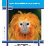 Papel Fotográfico Adesivo Masterprint A4 130g 100 Folhas Brilhante